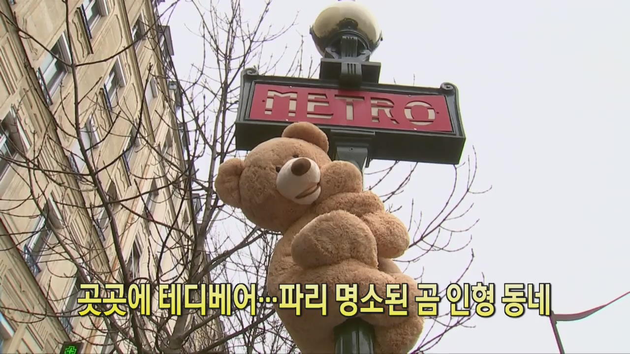 [디지털 광장] 곳곳에 테디베어…파리 명소된 곰 인형 동네