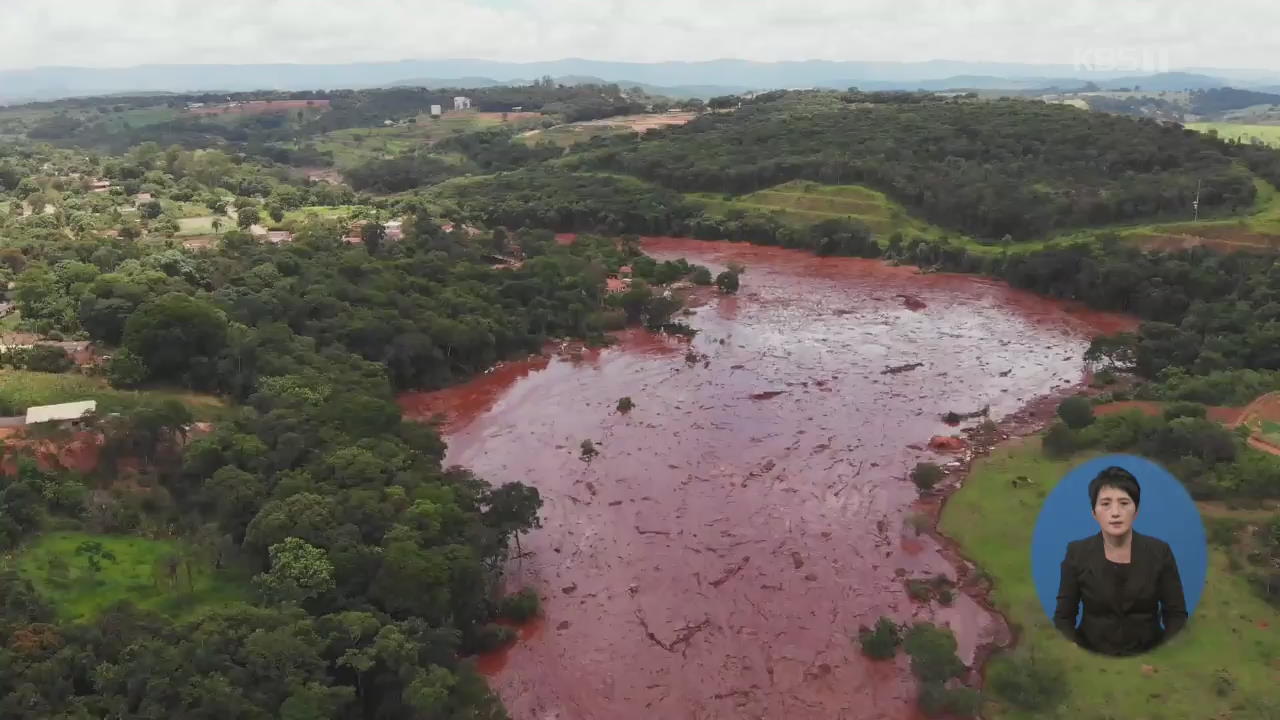 애타는 브라질 댐 붕괴 실종 가족들…생태계도 위협