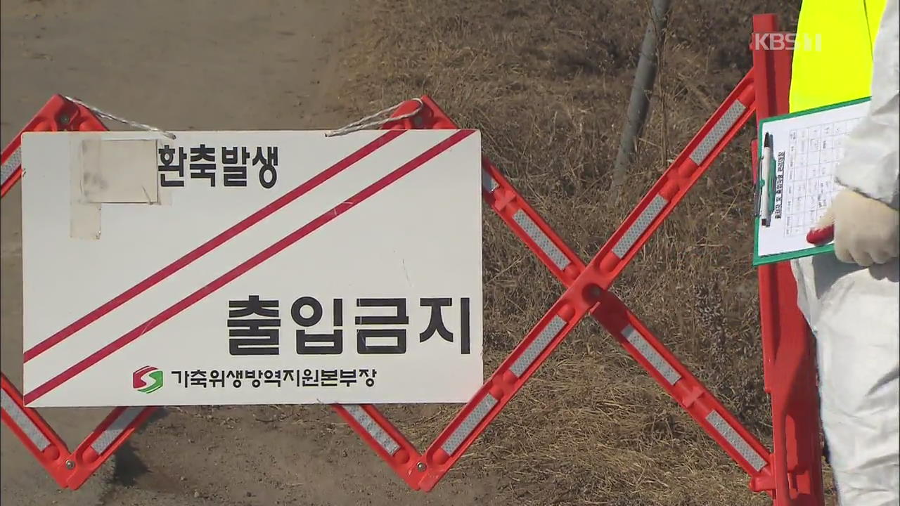 경기도 안성, 구제역 확진 인근 농가 7곳 의심 신고…방역 비상