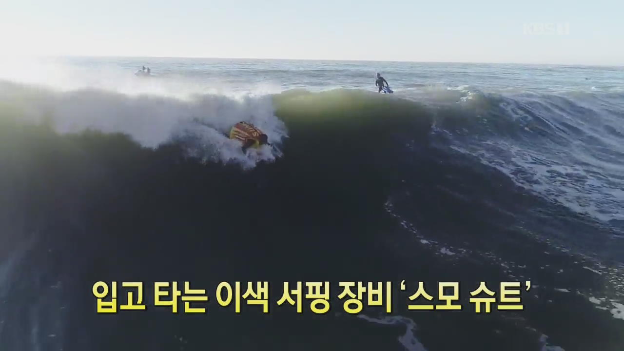 [디지털 광장] 입고 타는 이색 서핑 장비 ‘스모 슈트’