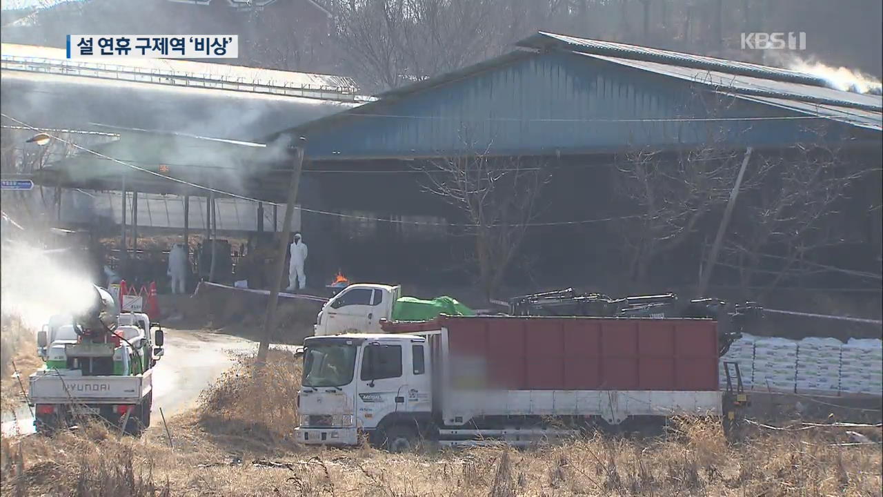 명절 코앞인데…구제역에 축산업계 비상