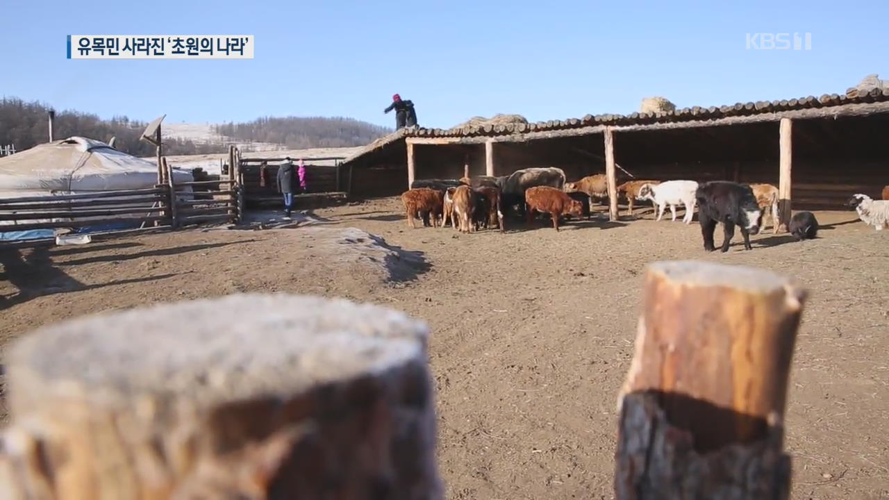 ‘이상기후’로 유목민 사라진 ‘초원의 나라’ 몽골