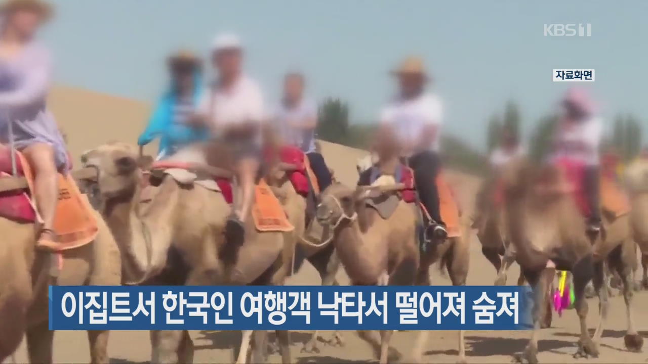 이집트서 한국인 여행객 낙타서 떨어져 숨져