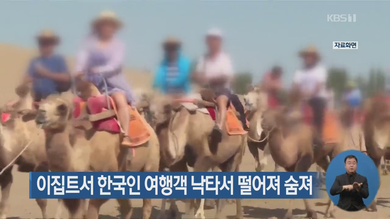 이집트서 한국인 여행객 낙타서 떨어져 숨져