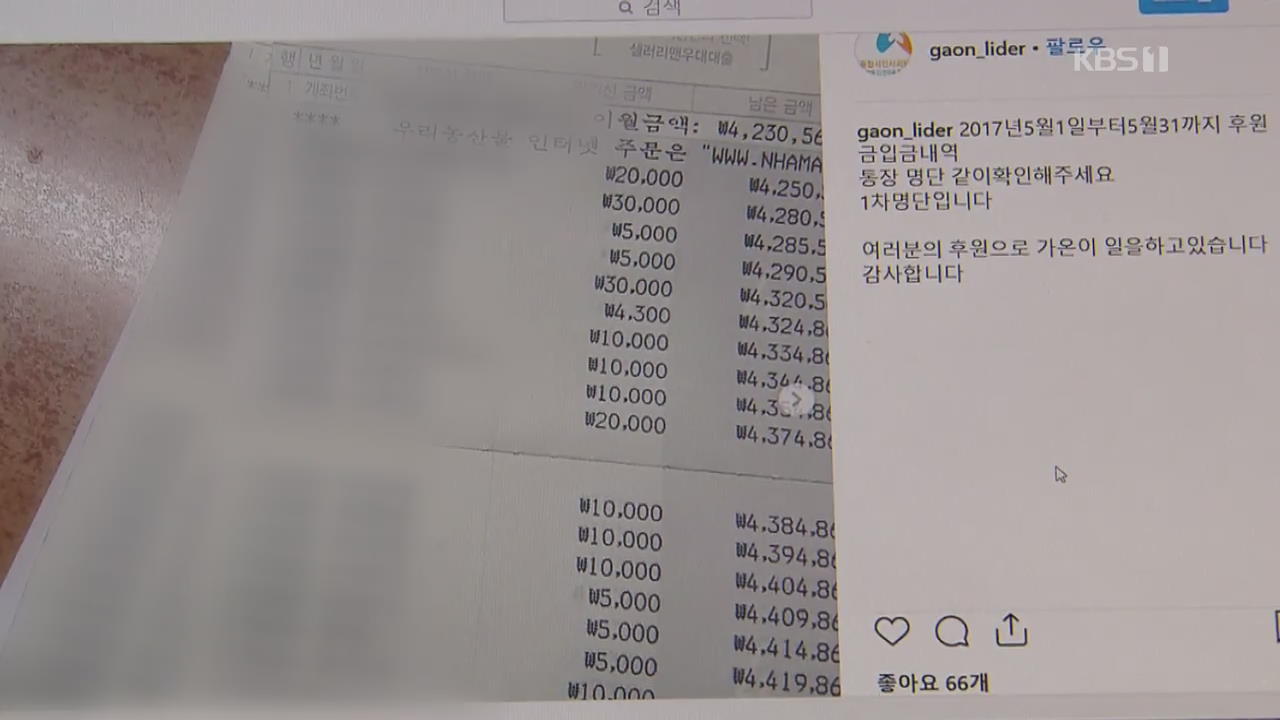 동물 돌보라고 기부했더니…‘후원금 탕진’ 동물단체 대표 기소