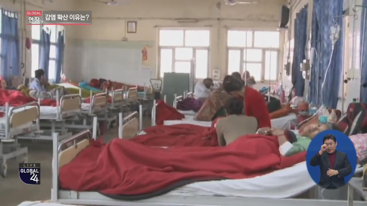 [글로벌24 현장] 인도, ‘돼지 독감’ 사망자 300여 명…확산 비상