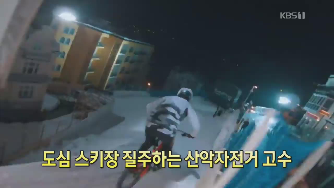 [디지털 광장] 도심 스키장 질주하는 산악자전거 고수
