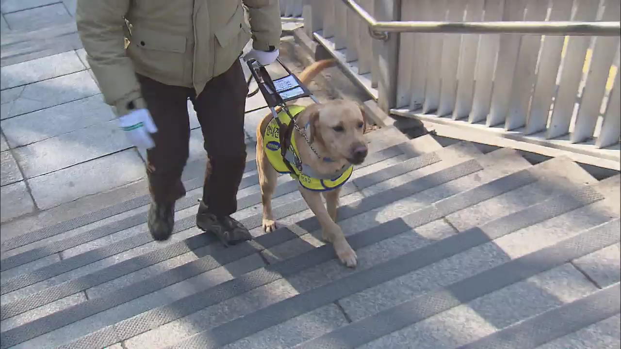 Guide Dog Regulations