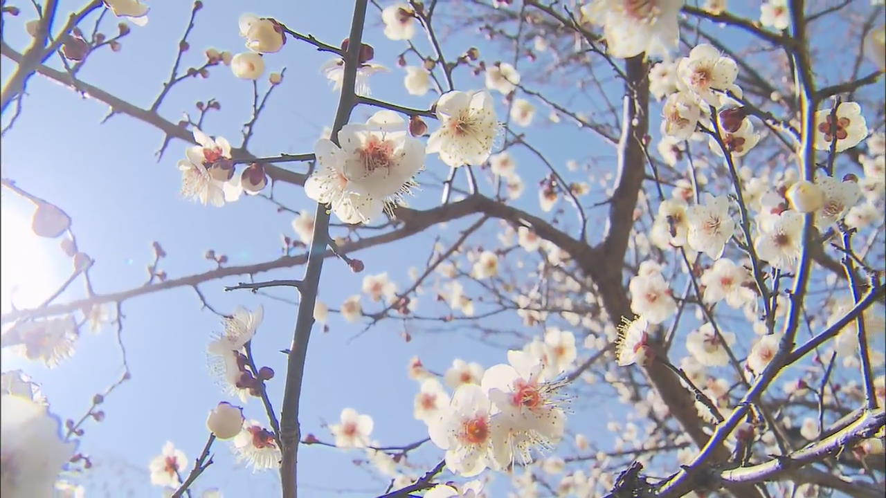 Approaching Spring