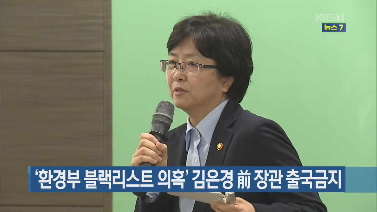 ‘환경부 블랙리스트 의혹’ 김은경 前 장관 출국금지