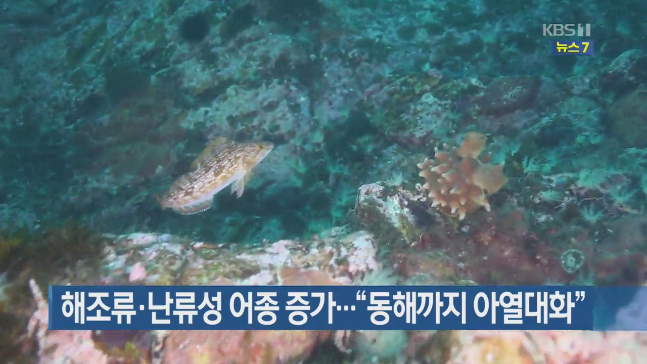 해조류·난류성 어종 증가…“동해까지 아열대화”