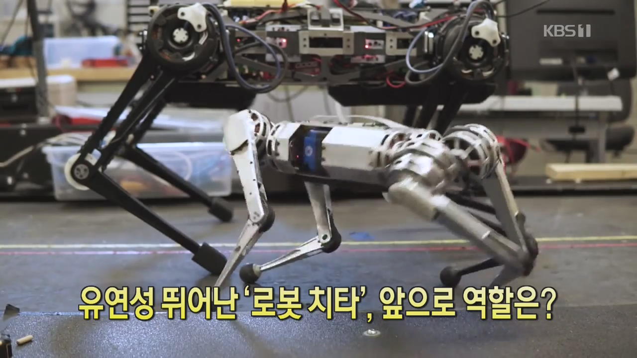 [디지털 광장] 유연성 뛰어난 ‘로봇 치타’, 앞으로 역할은?