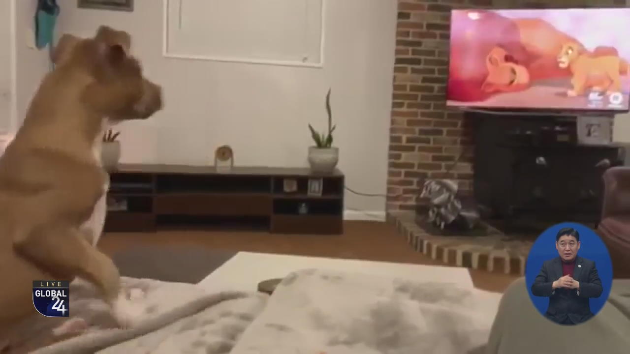 [글로벌 스토리] “너무 슬퍼요~” 감수성 풍부한 반려견