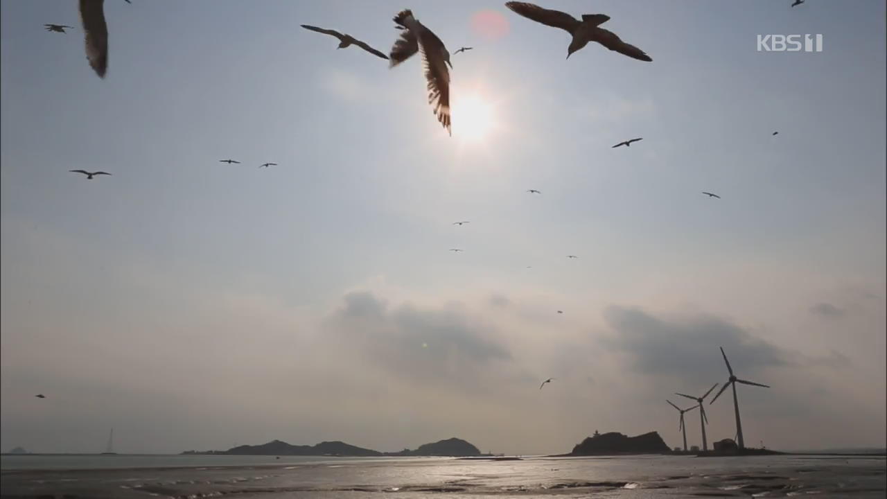 [뉴스광장 영상] 탄도항