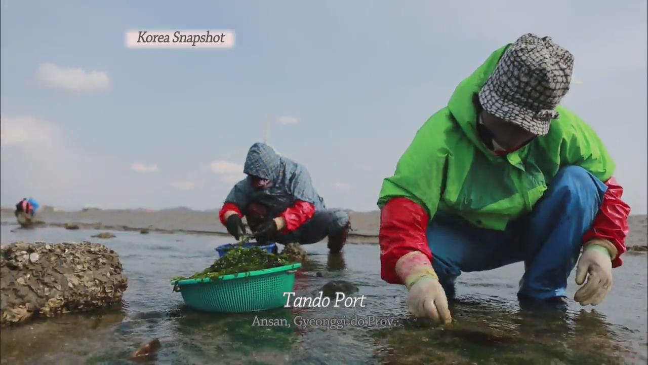 [Korea snapshot] Tando Port