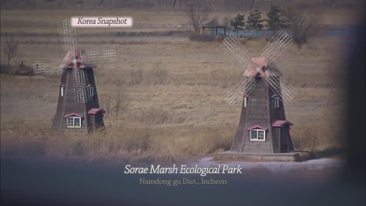 [Korea snapshot] Sorae Marsh Ecological Park