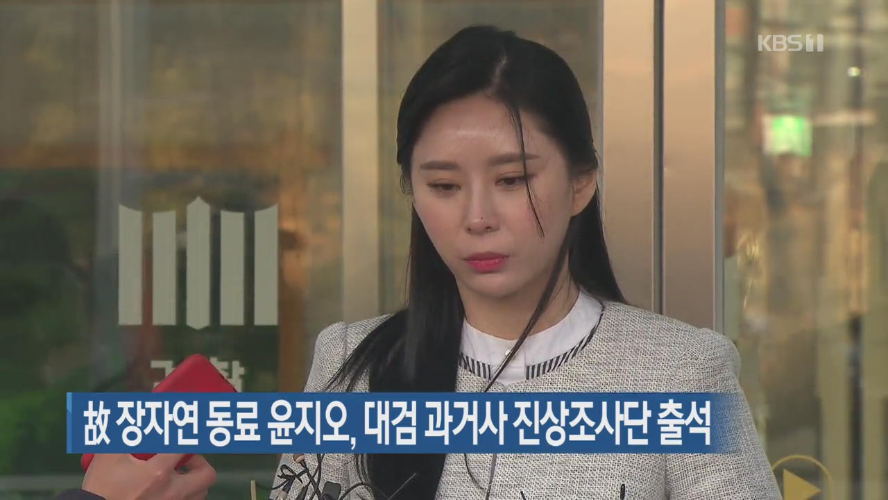 故 장자연 동료 윤지오, 대검 과거사 진상조사단 출석