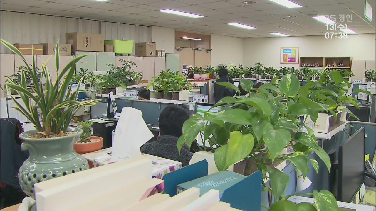 공기 정화 식물로 미세먼지 ‘싹’…업무 능률도 ‘쑥쑥’
