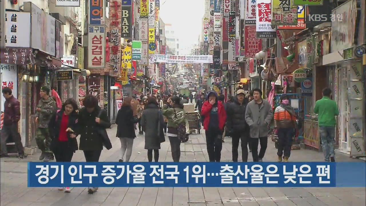 경기 인구 증가율 전국 1위…출산율은 낮은 편