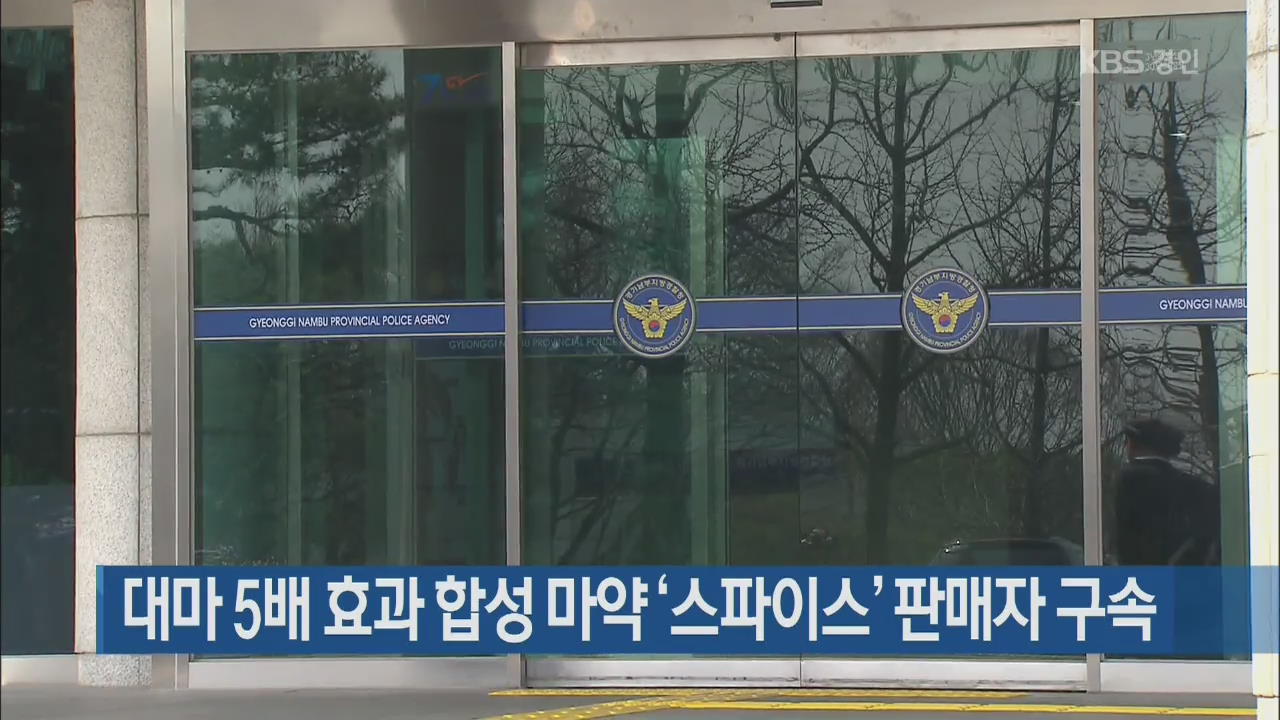 대마 5배 효과 합성마약 ‘스파이스’ 판매자 구속