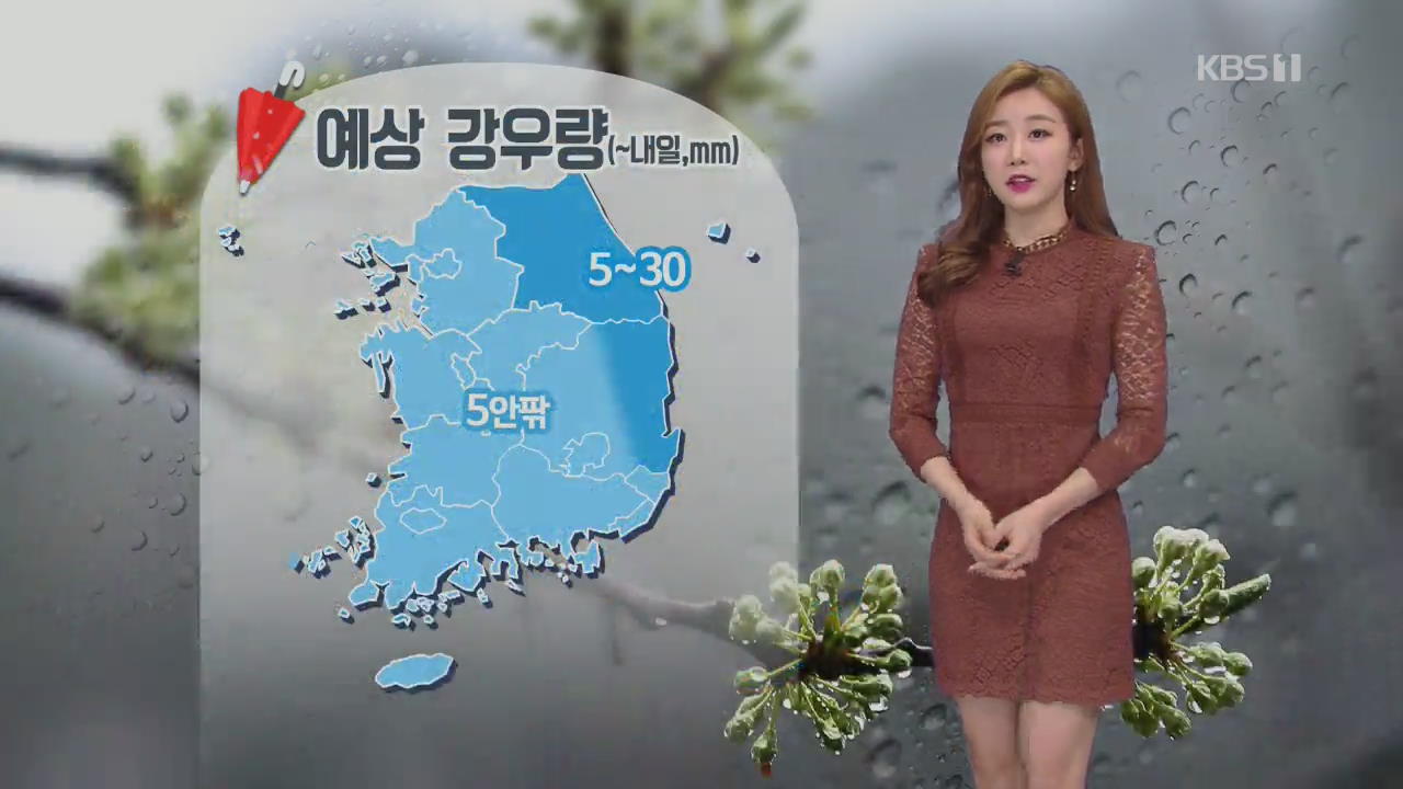 [날씨] 전국 천둥·번개 동반 비…밤사이 강원산지 최고 20cm 폭설