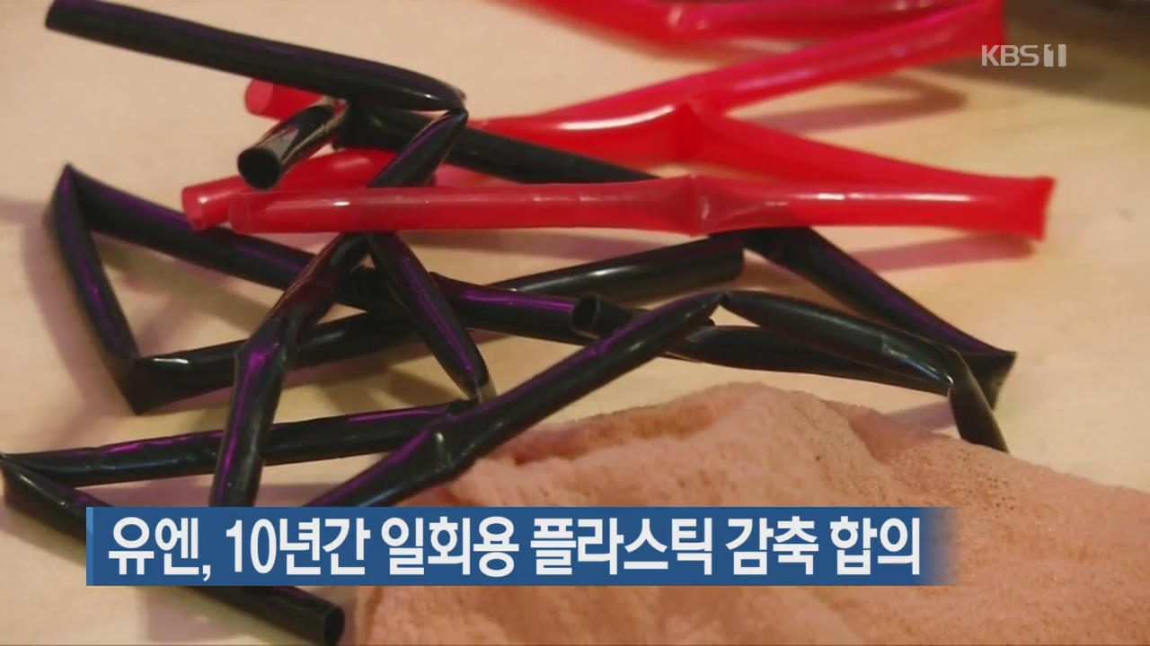 [지금 세계는] 유엔, 10년간 일회용 플라스틱 감축 합의