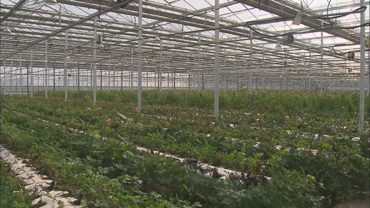 Struggle in Farming