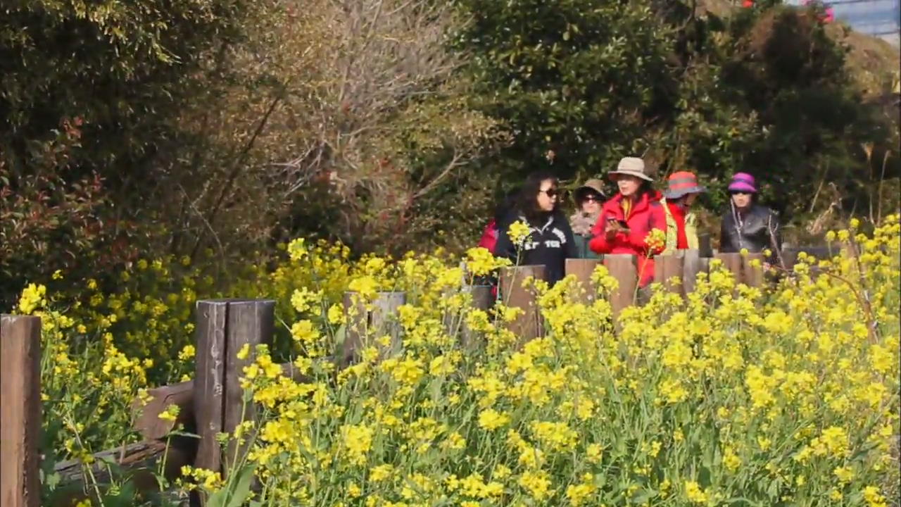 [Korea snapshot] Spring day in Jeju Olle