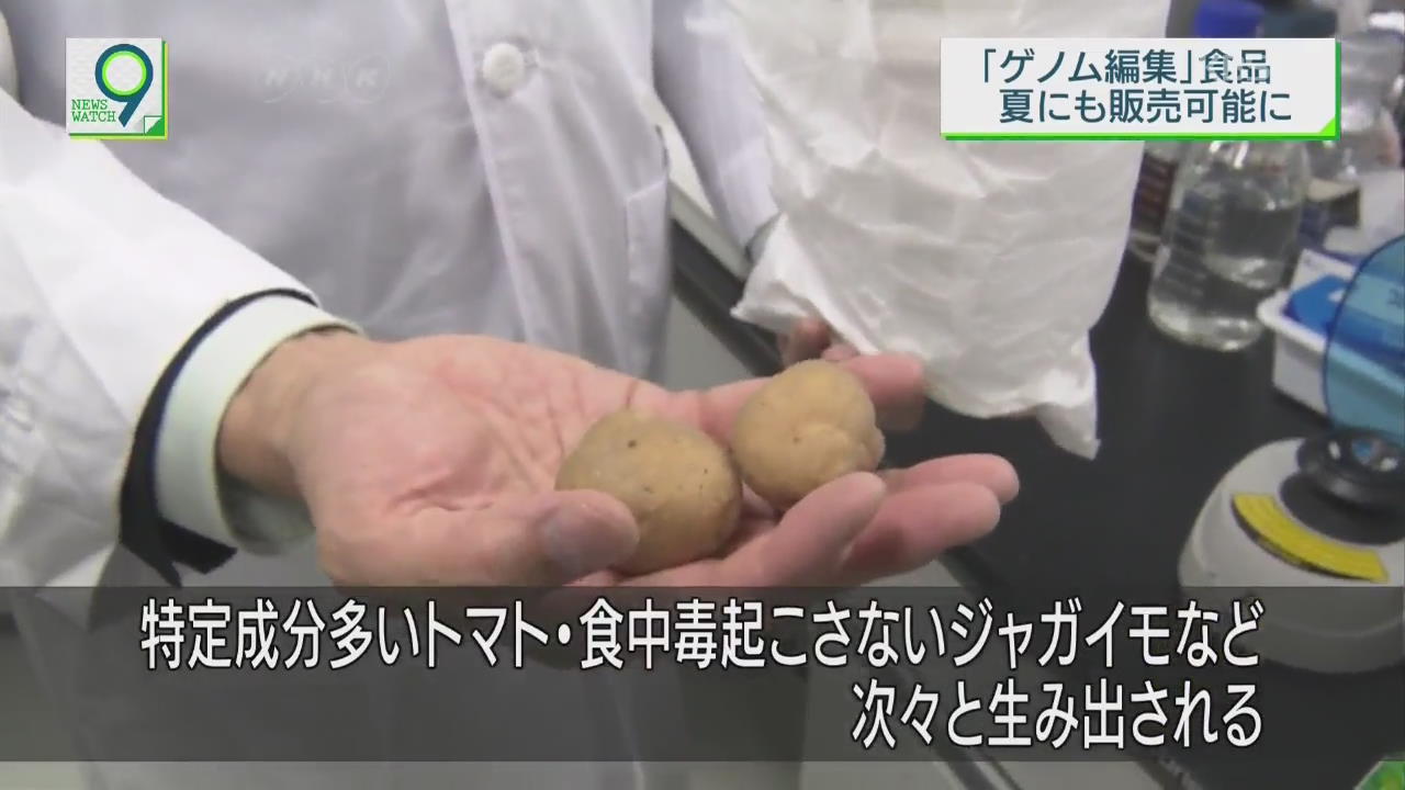 일본, ‘유전체 편집 식품’ 올 여름부터 시중 판매