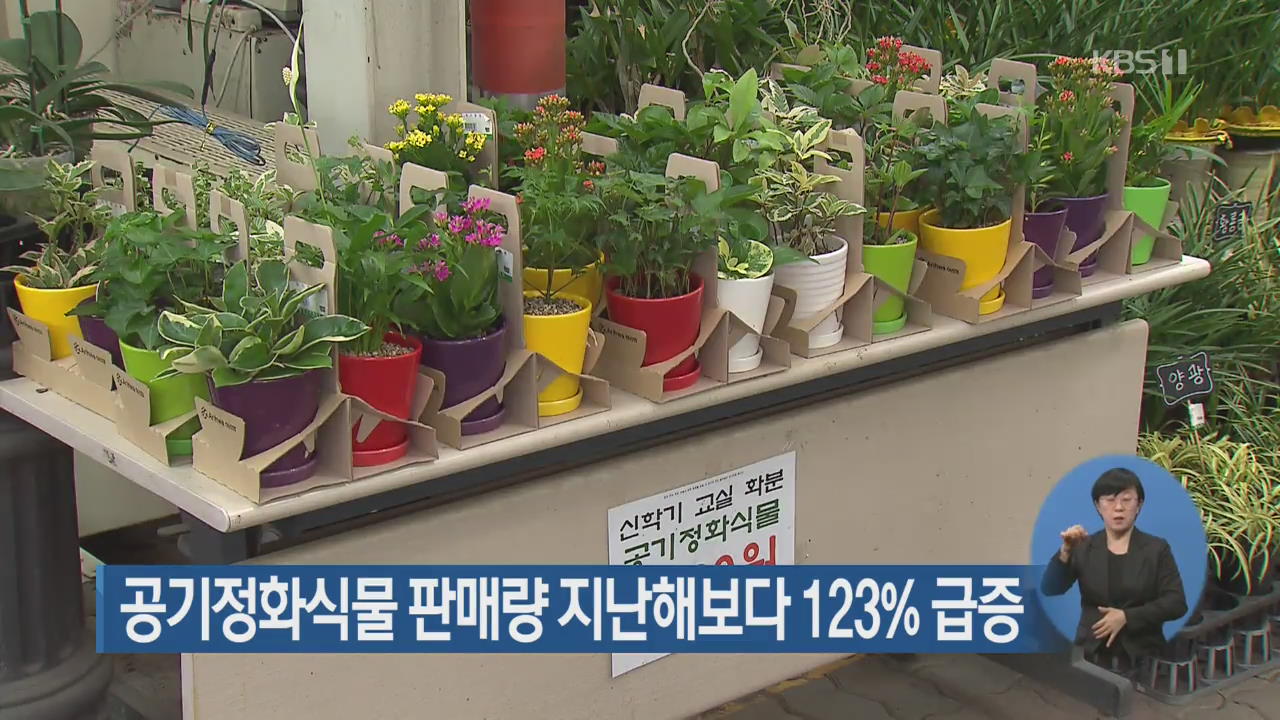 공기정화식물 판매량 지난해보다 123% 급증