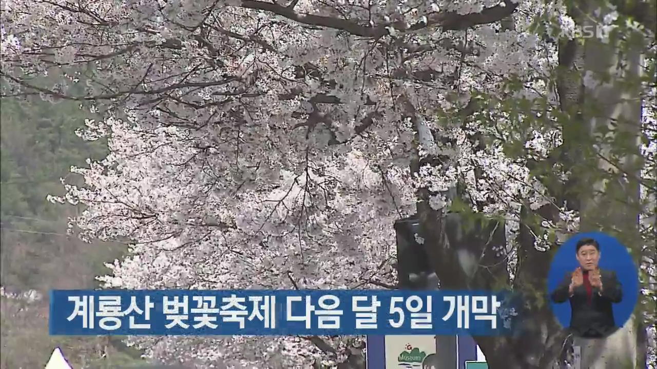 계룡산 벚꽃축제 다음 달 5일 개막