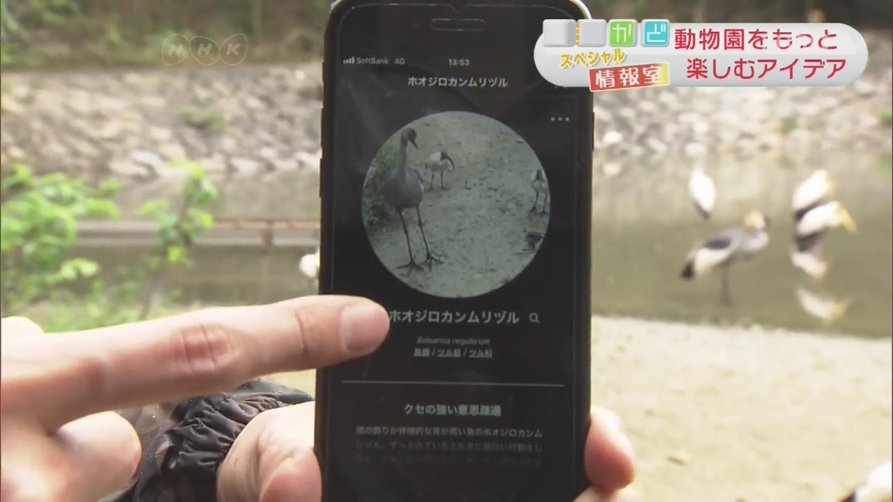 스마트폰 앱으로 정보 알려 주는 일본 동물원