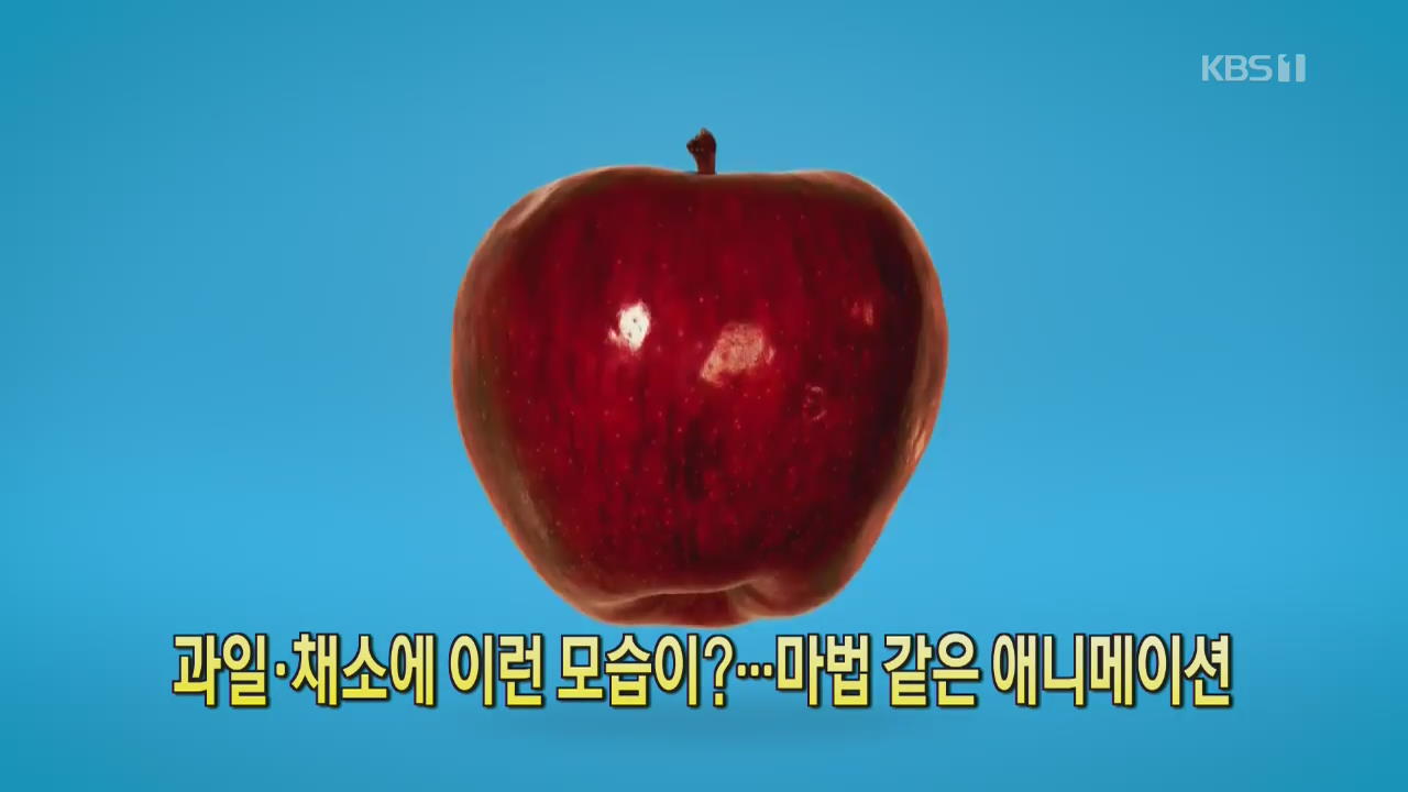 [디지털 광장] 과일·채소에 이런 모습이?…마법 같은 애니메이션