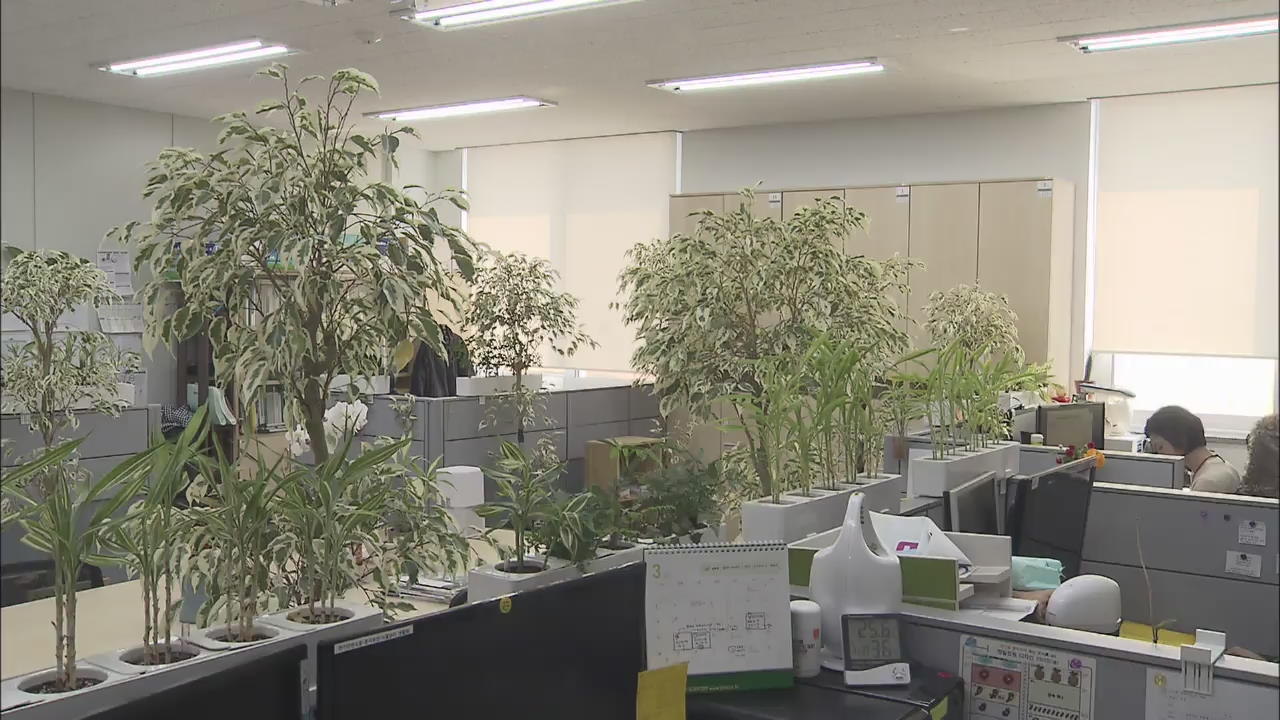 Effects of Plants