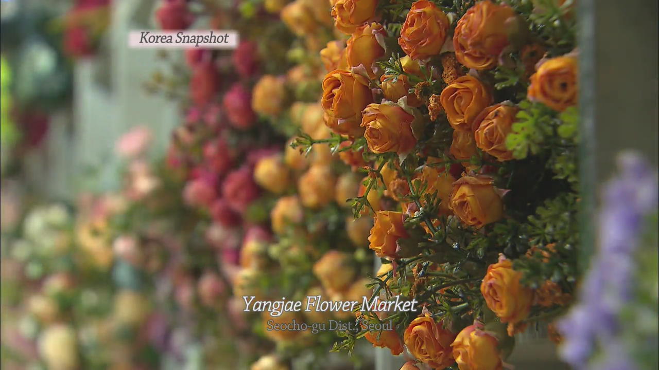 [Korea snapshot] Yangjae Flower Market