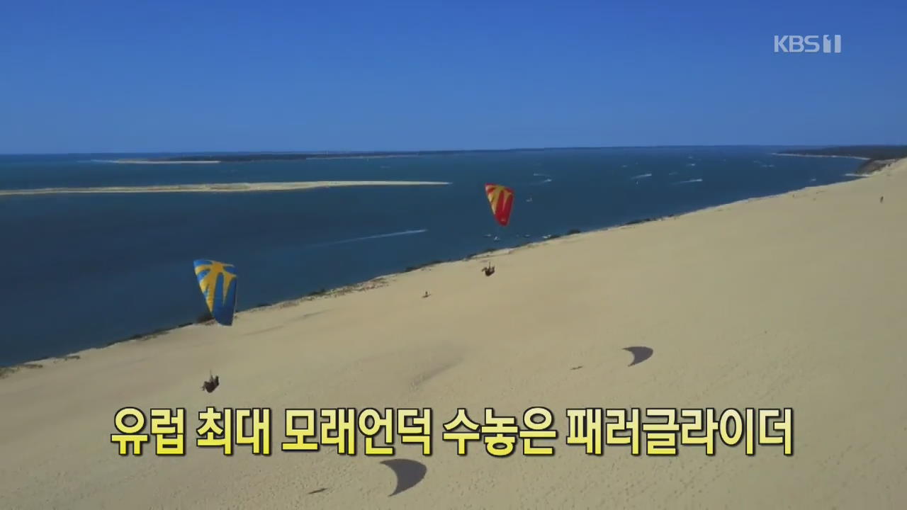 [디지털 광장] 유럽 최대 모래언덕 수놓은 패러글라이더