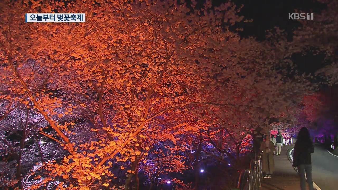 ‘분홍빛 세상’ 화개장터 벚꽃길 장관…남쪽은 축제 중