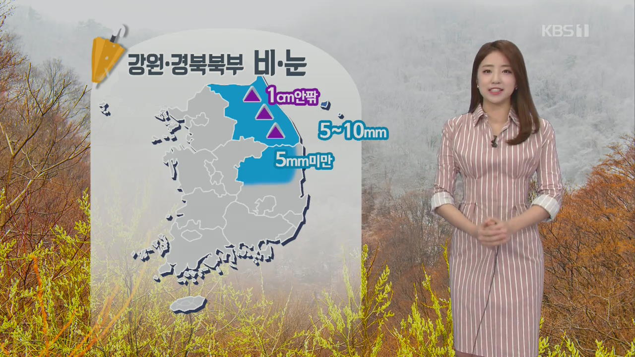 [날씨] 구름 많고 쌀쌀…강원·경북 오후까지 비·눈