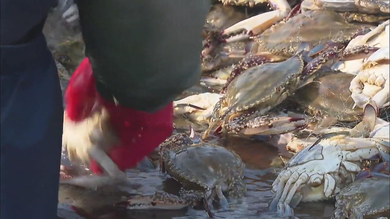 Crab Fishing Expansion