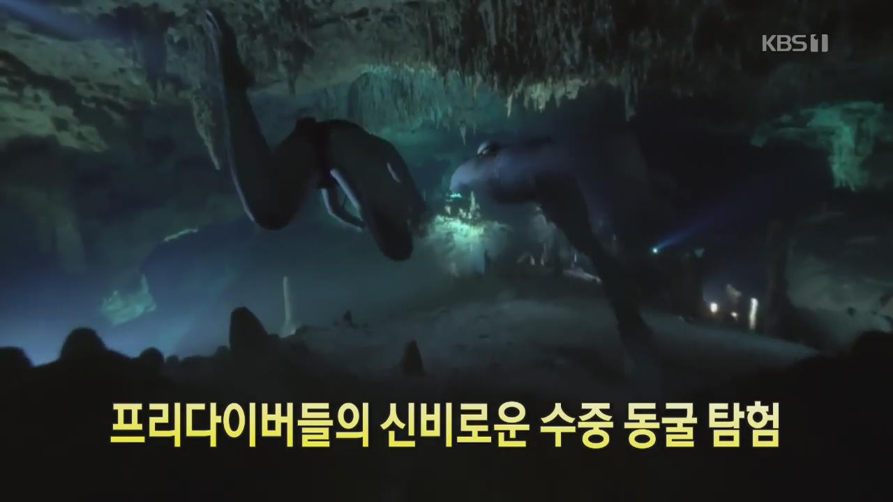 [디지털 광장] 프리다이버들의 신비로운 수중 동굴 탐험