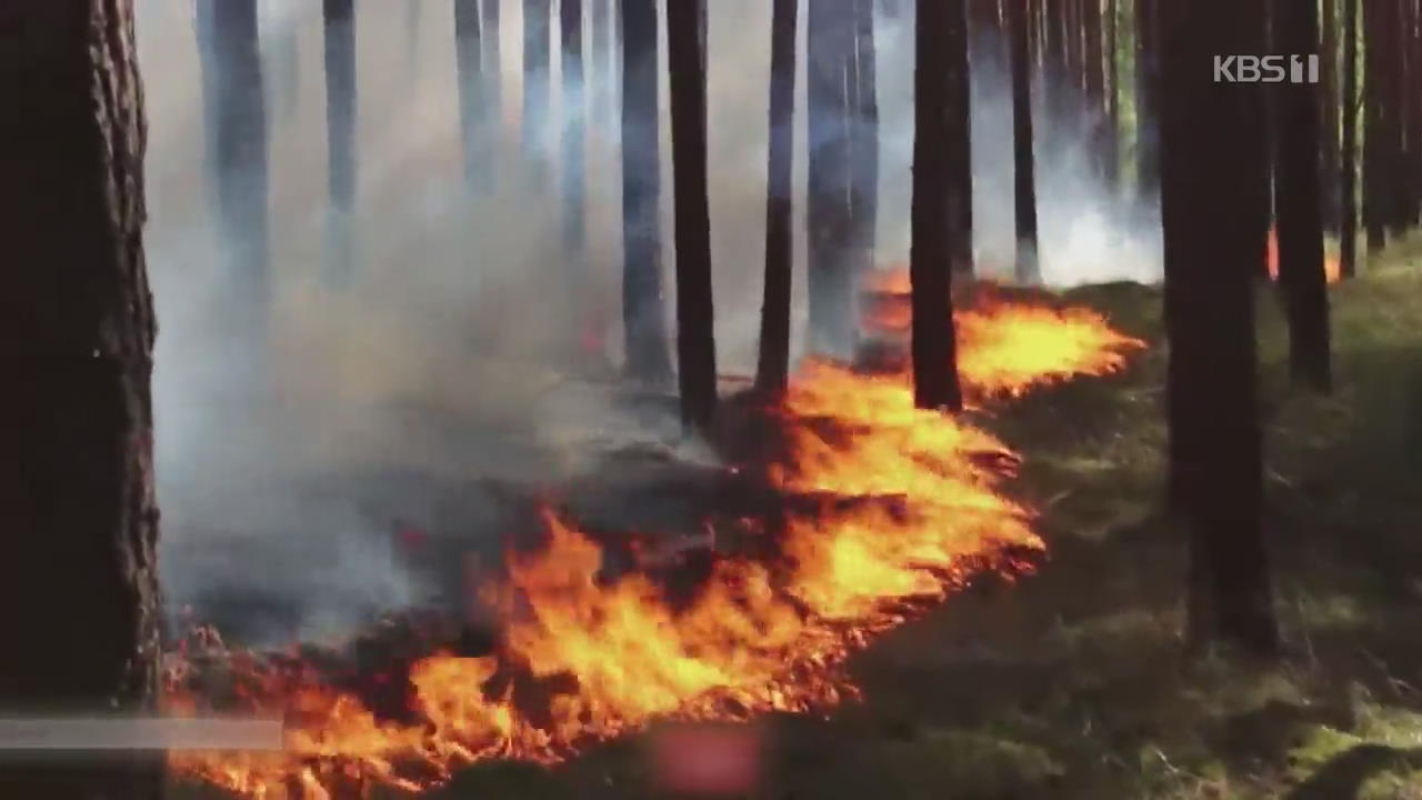 중북부 유럽 ‘봄철 산불’ 비상사태…농업 차질도 우려