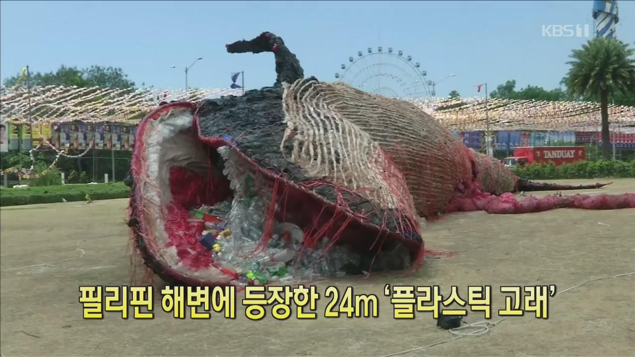 [디지털 광장] 필리핀 해변에 등장한 24m ‘플라스틱 고래’
