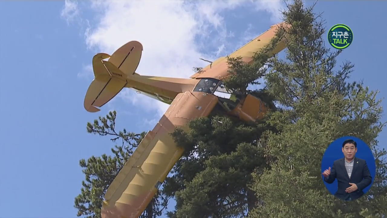 [지구촌 Talk] 추락해 18m 높이 나무에 걸린 경비행기