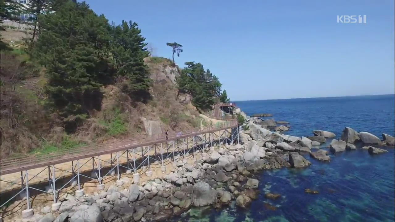 [정보충전] 가슴 따뜻해지는 여행…“산불 피해지역 도와요”