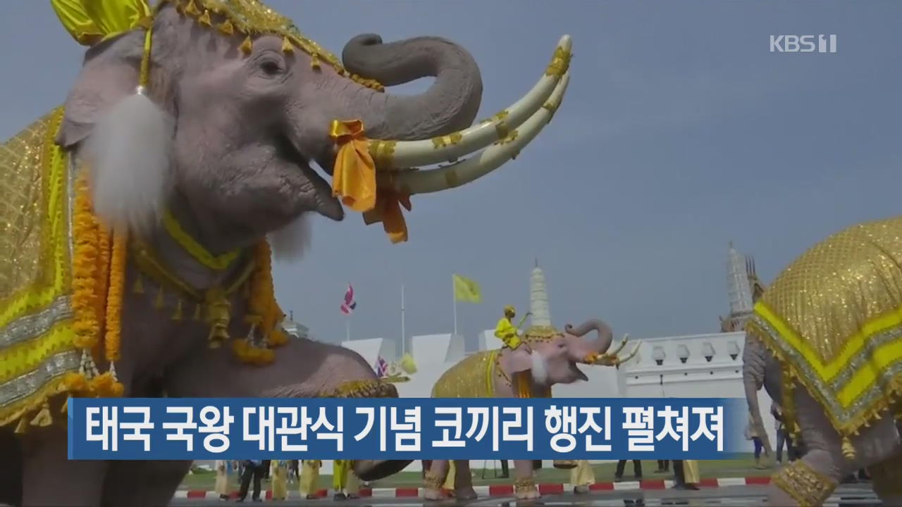 [지금 세계는] 태국 국왕 대관식 기념 코끼리 행진 펼쳐져