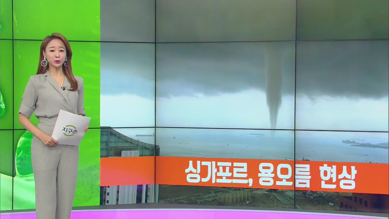 [지구촌 날씨] 싱가포르, 용오름 현상