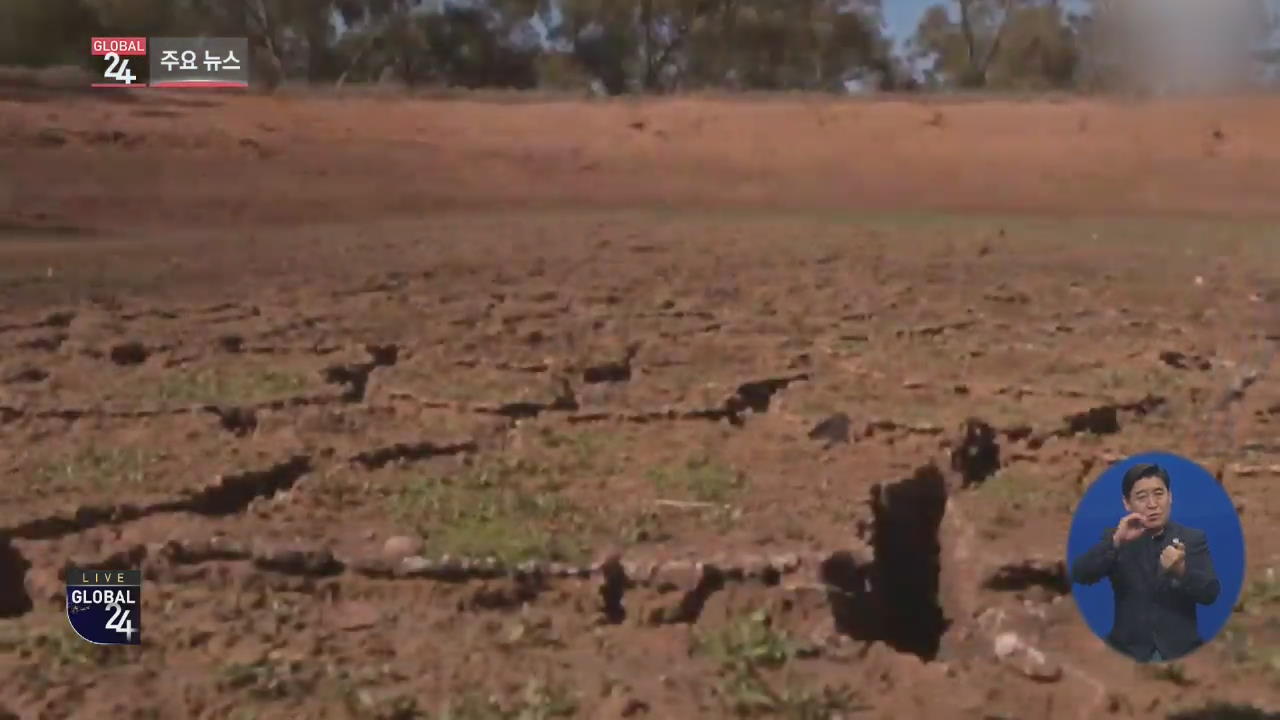 [글로벌24 주요뉴스] 가뭄에 말라가는 호주…12년 만에 밀 수입
