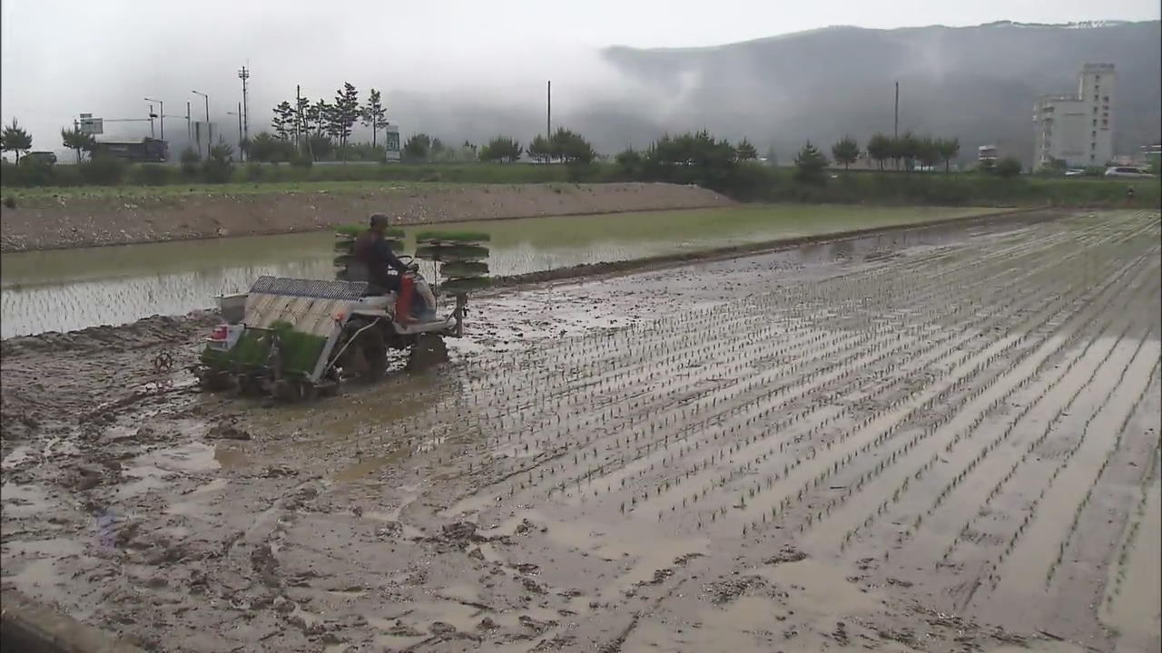 RESUMED FARMING