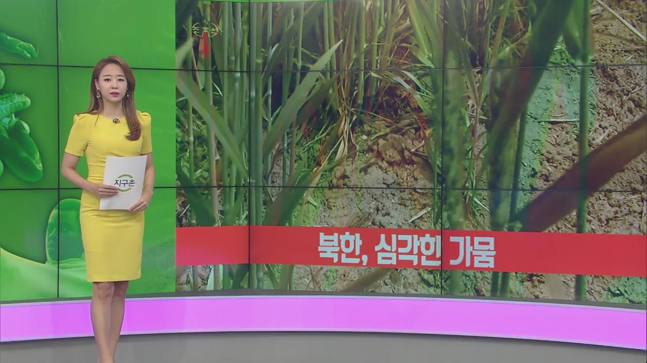 [지구촌 날씨] 북한, 극심한 가뭄