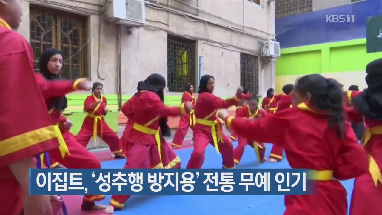 [지금 세계는] 이집트, ‘성추행 방지용’ 전통 무예 인기